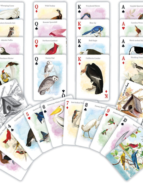 Load image into Gallery viewer, Audubon Playing Cards - 54 Card Deck by MasterPieces Puzzle Company INC
