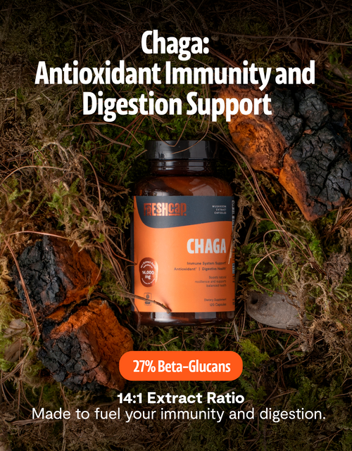 Load image into Gallery viewer, Chaga Mushroom Extract Capsules
