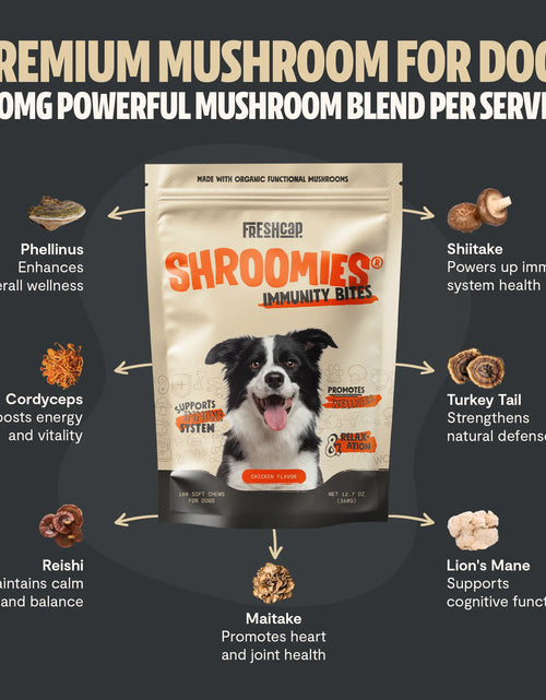 Load image into Gallery viewer, Organic Mushroom Complex for Dogs
