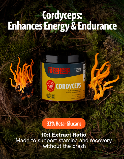 Load image into Gallery viewer, Cordyceps Mushroom Extract Powder
