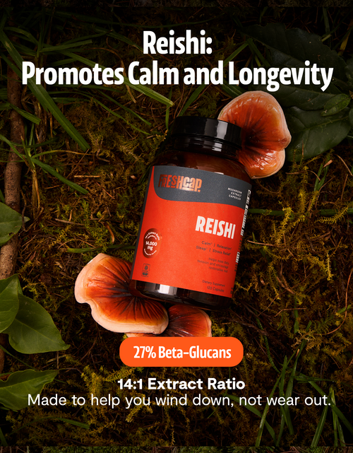 Load image into Gallery viewer, Organic Reishi Mushroom Capsules
