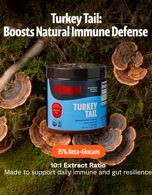 Load image into Gallery viewer, Organic Turkey Tail Mushroom Powder
