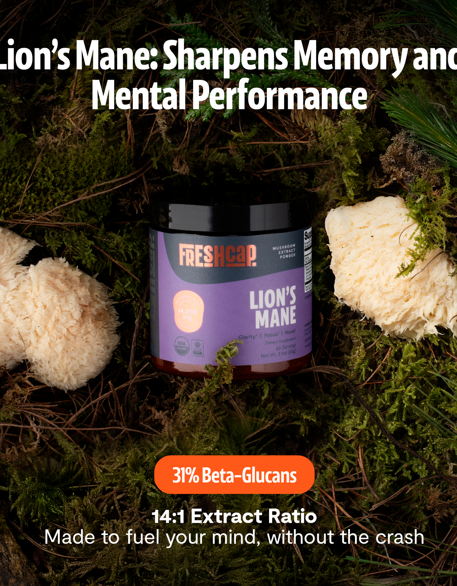 Organic Lion’s Mane Mushroom Powder