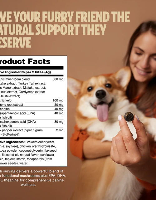 Load image into Gallery viewer, Organic Mushroom Complex for Dogs
