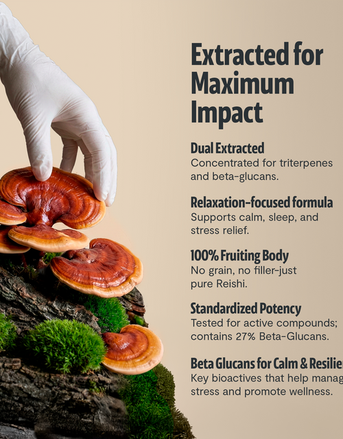 Load image into Gallery viewer, Organic Reishi Mushroom Powder
