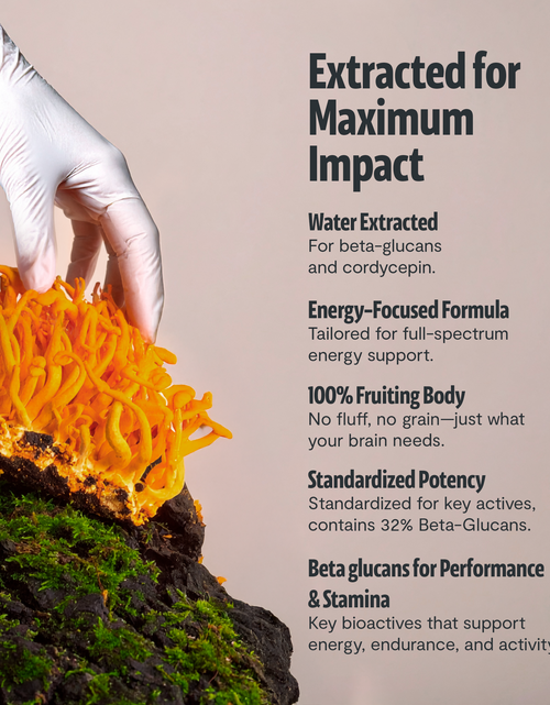 Load image into Gallery viewer, Cordyceps Mushroom Extract Powder
