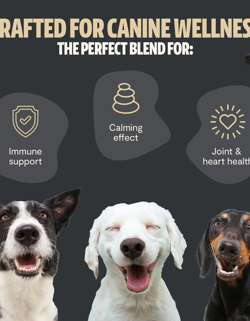 Load image into Gallery viewer, Organic Mushroom Complex for Dogs
