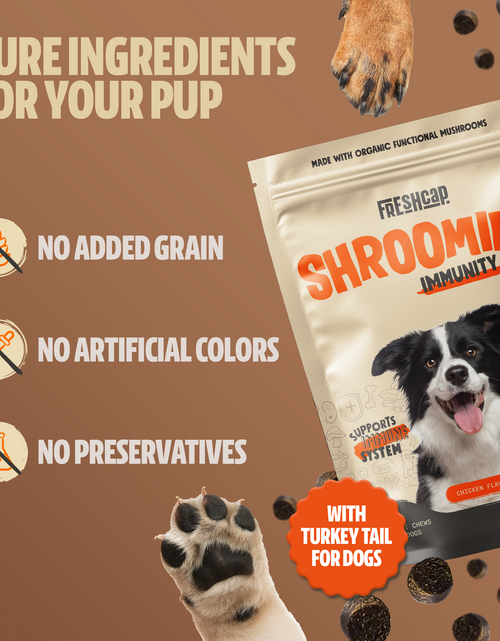 Load image into Gallery viewer, Organic Mushroom Complex for Dogs
