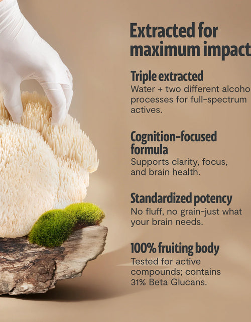 Load image into Gallery viewer, Organic Lion’s Mane Mushroom Powder

