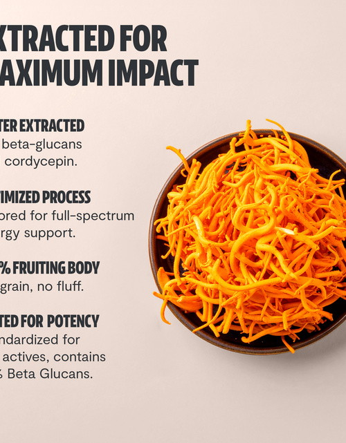 Load image into Gallery viewer, Cordyceps Mushroom Extract Powder
