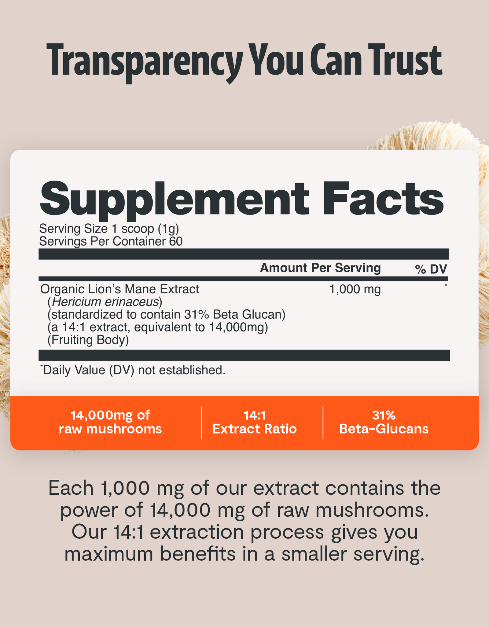 Organic Mushroom Complex Supplement Capsules