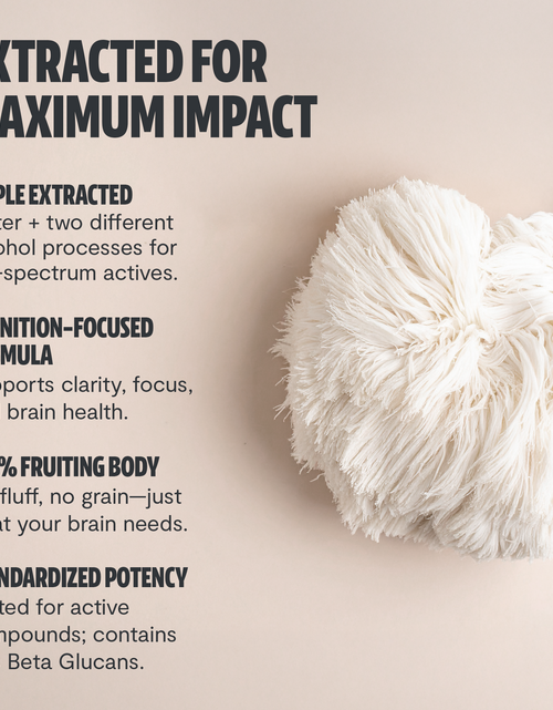 Load image into Gallery viewer, Organic Lion’s Mane Mushroom Powder
