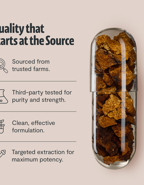 Load image into Gallery viewer, Chaga Mushroom Extract Capsules
