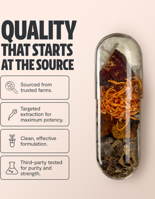 Load image into Gallery viewer, Organic Mushroom Complex Supplement Capsules
