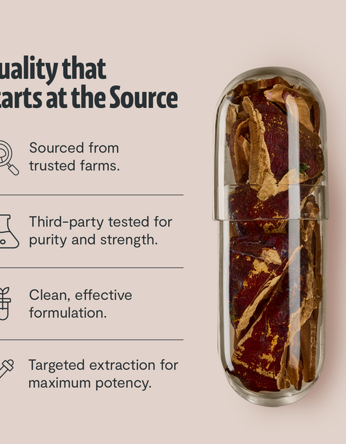 Load image into Gallery viewer, Organic Reishi Mushroom Capsules
