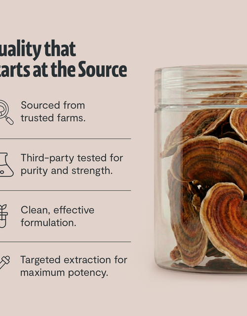 Load image into Gallery viewer, Organic Turkey Tail Mushroom Powder
