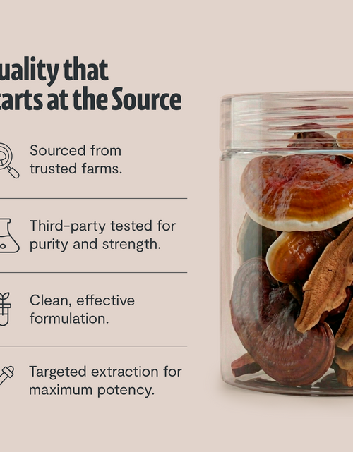 Load image into Gallery viewer, Organic Reishi Mushroom Powder
