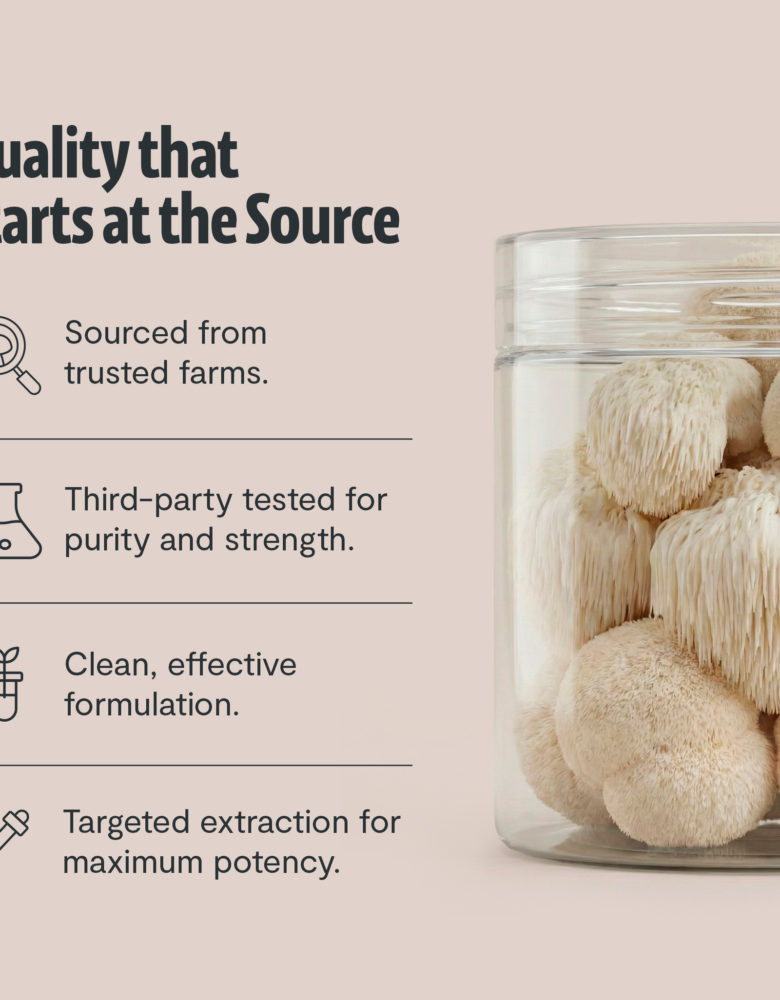 Organic Lion’s Mane Mushroom Powder