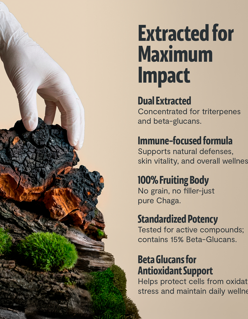 Load image into Gallery viewer, Chaga Mushroom Extract Capsules
