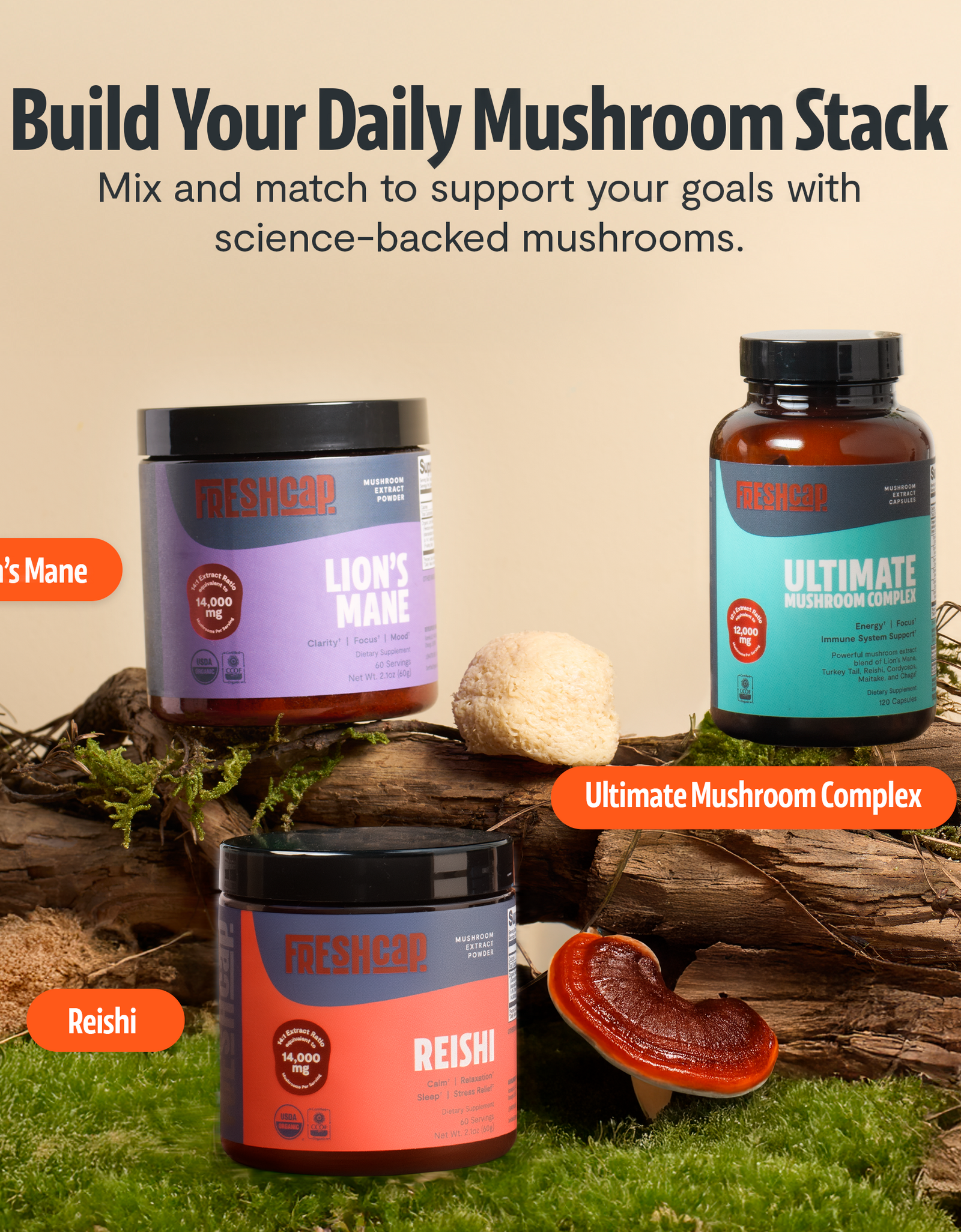 Organic Mushroom Complex Supplement Capsules