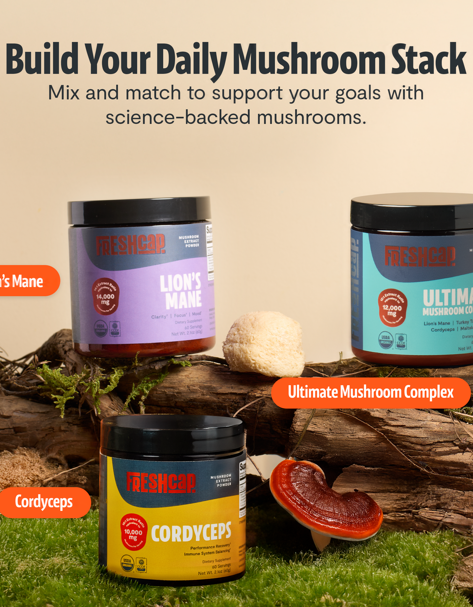 Cordyceps Mushroom Extract Powder