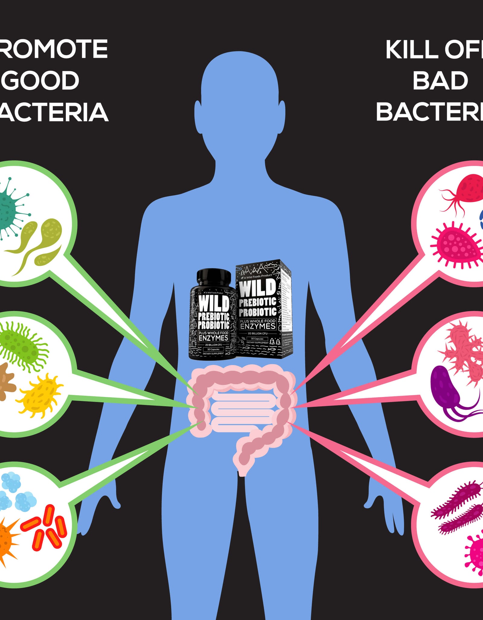 Wild Prebiotics Probiotics & Digestive Enzymes - 20 Billion CFU by Wild Foods
