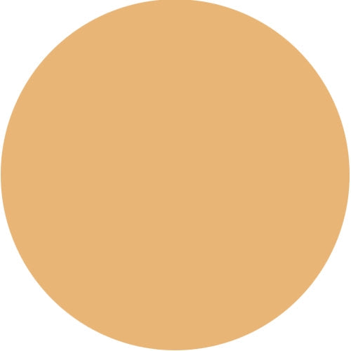 Load image into Gallery viewer, Luxury Oil Blotting Pressed Powder by Color Me Beautiful
