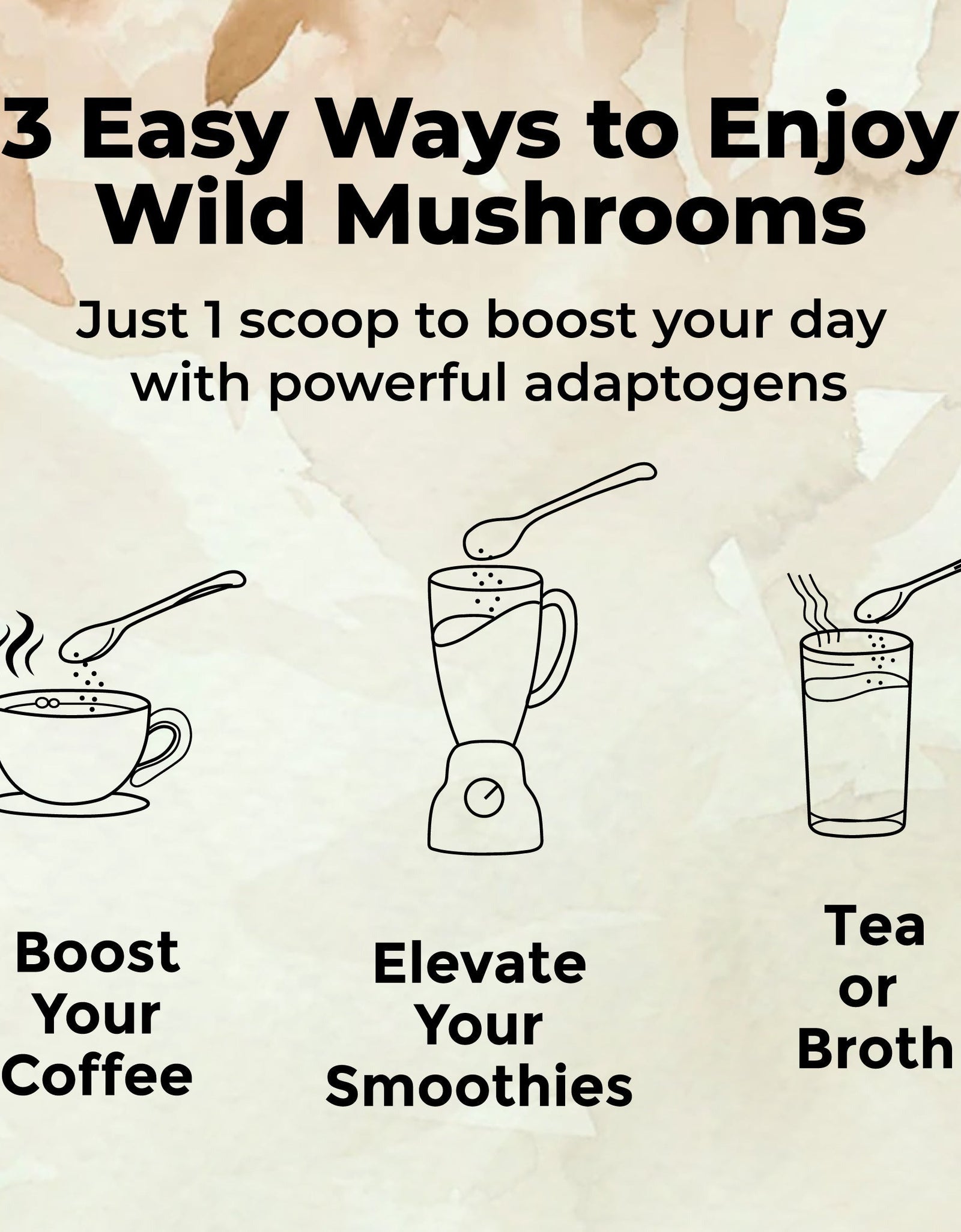 Master Five Mushrooms Blend - Adaptogens + Prebiotic Complex by Wild Foods