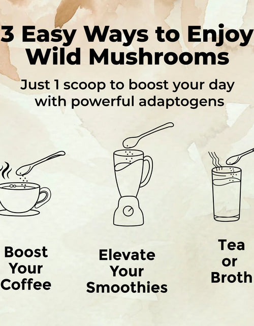 Load image into Gallery viewer, Wholesale: Master Shrooms Five Mushrooms Blend - Adaptogens + Prebiotic Powerhouse by Wild Foods
