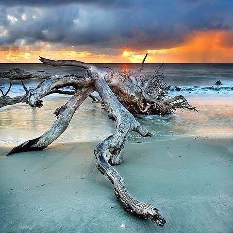 Load image into Gallery viewer, Driftwood + Sea Salt by Wicked Good Perfume
