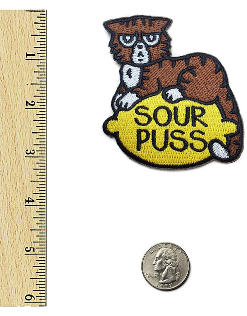Load image into Gallery viewer, Sourpuss Cat Patch by Kolorspun
