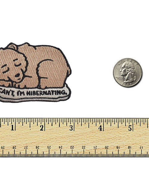Load image into Gallery viewer, Hibernating Bear Patch by Kolorspun
