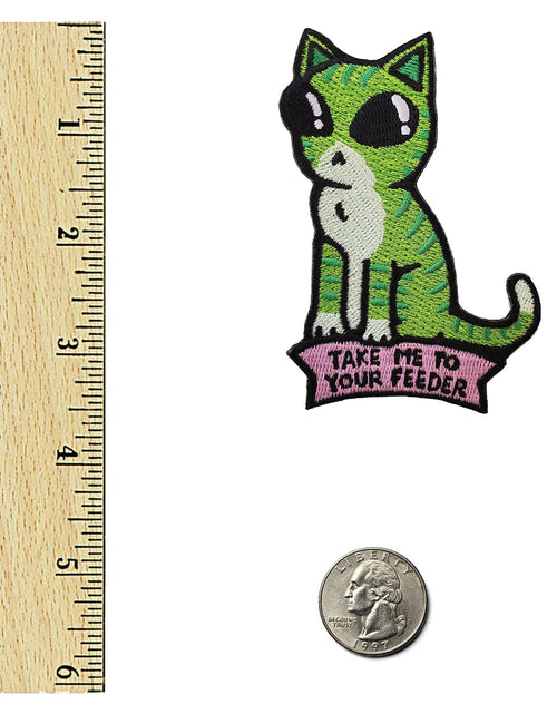 Load image into Gallery viewer, Take Me To Your Feeder Cat Patch by Kolorspun

