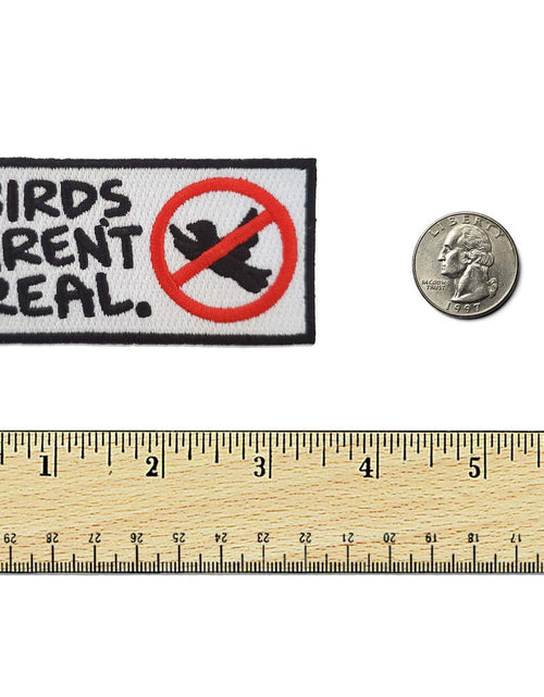 Load image into Gallery viewer, Birds Aren't Real Patch by Kolorspun
