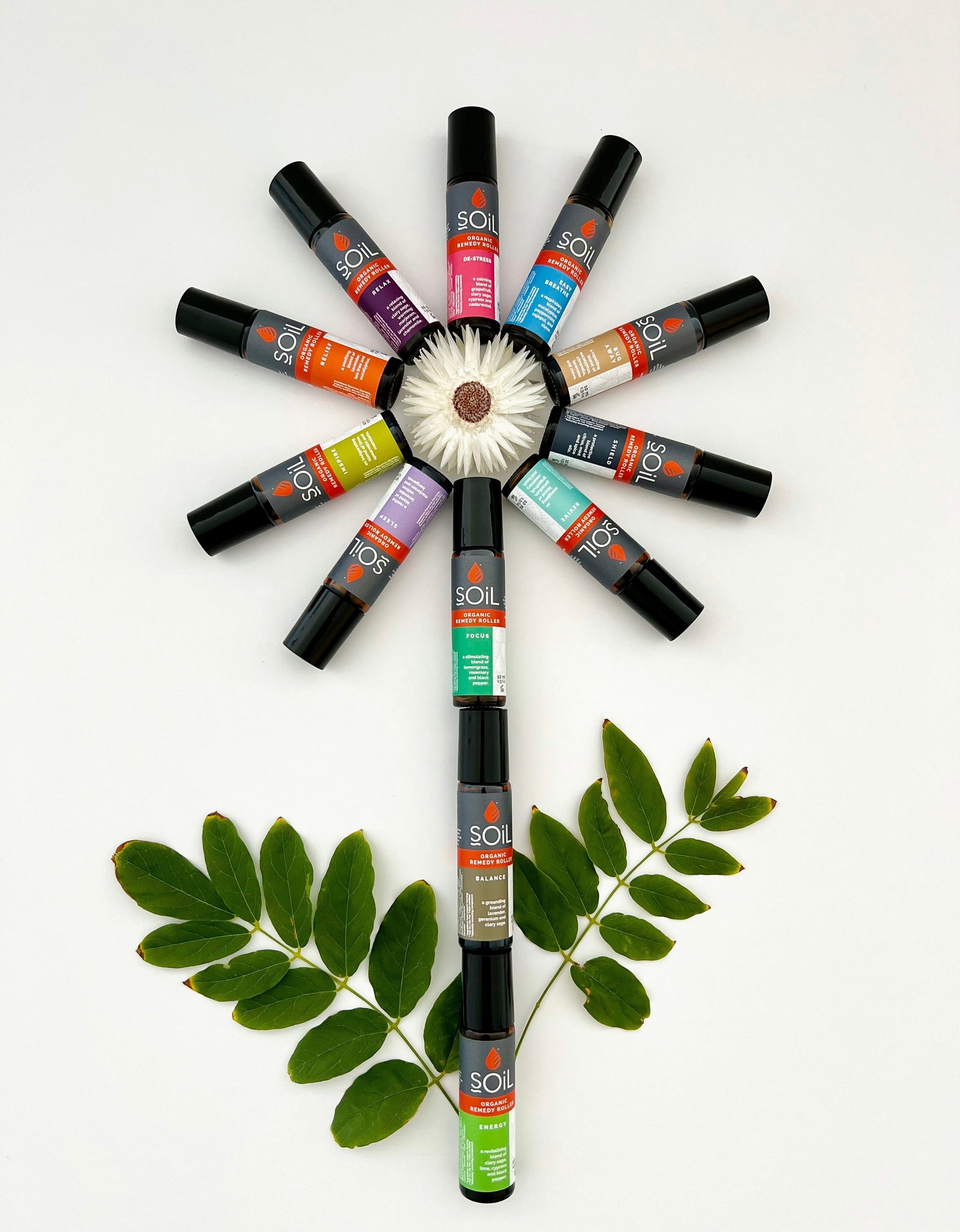 Focus - Organic Remedy Roller 20ml by SOiL Organic Aromatherapy and Skincare