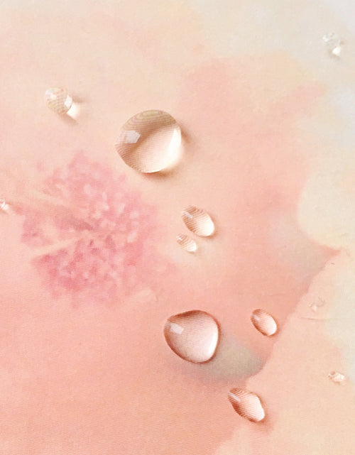 Load image into Gallery viewer, Natural Salicylic Acid Serum Water by TAHNYC
