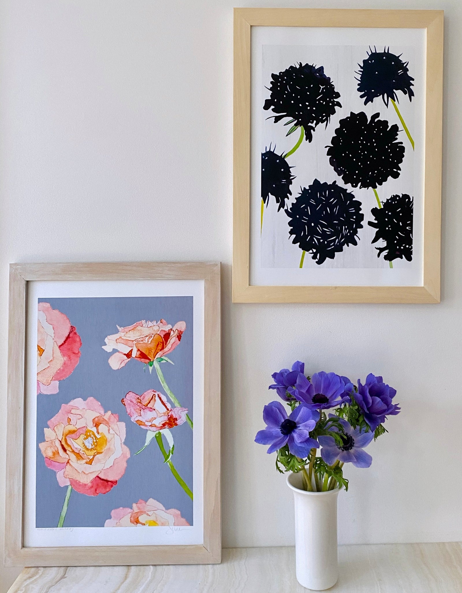Art Print:  Black Scabiosa on Snow by India & Purry
