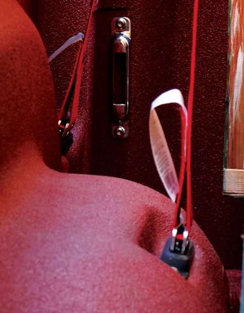 Load image into Gallery viewer, SNAP-LOC 2 in x 12 ft E-Track Ratchet Strap Tie-Down 4,400 lb by SNAP-LOC CARGO CONTROL
