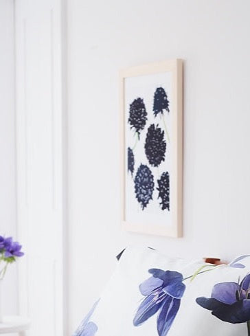 Load image into Gallery viewer, Art Print:  Black Scabiosa on Snow by India &amp; Purry
