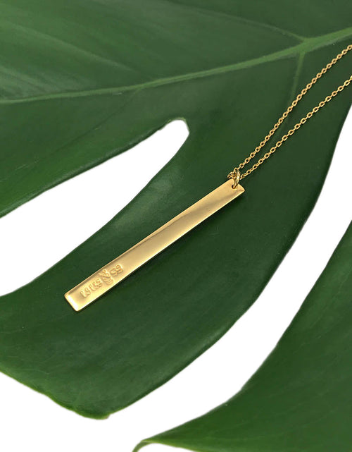 Load image into Gallery viewer, Layered Bar Bullet Necklace by SLATE + SALT
