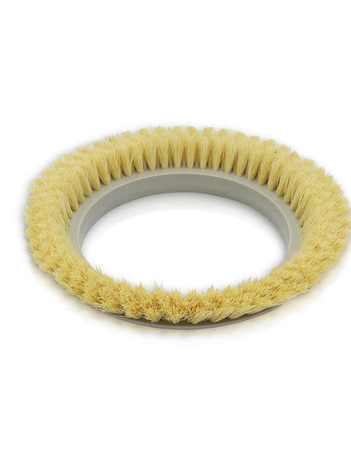 Load image into Gallery viewer, New Light-Duty Brush for the 13" Prolux Core (Only compatible with units purchased in 2022 and newer) by Prolux Cleaners
