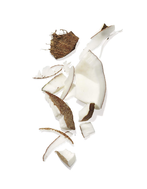 Load image into Gallery viewer, Mekabu Hydrating Shampoo by Masami
