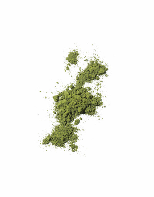 Load image into Gallery viewer, Mekabu Hydrating Travel Size Shampoo &amp; Conditioner by Masami
