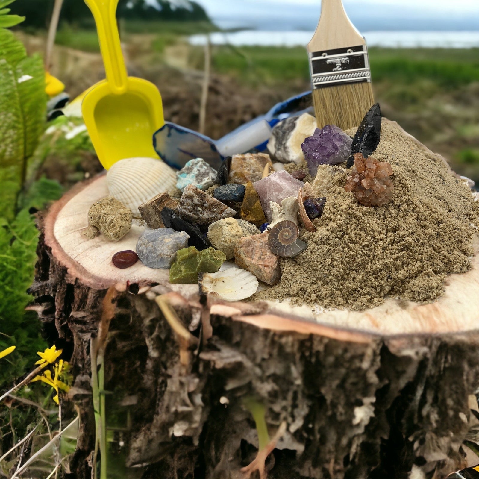 Rock and Crystal Mystery Miner's Box by Rock the Top Inc.