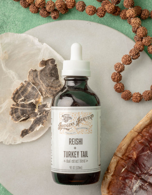 Load image into Gallery viewer, Reishi + Turkey Tail Dual Extract Tincture by Hodgins Harvest
