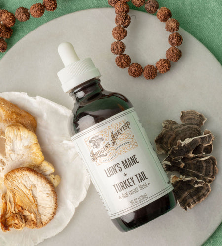 Lion's Mane + Turkey Tail Dual Extract Tincture by Hodgins Harvest