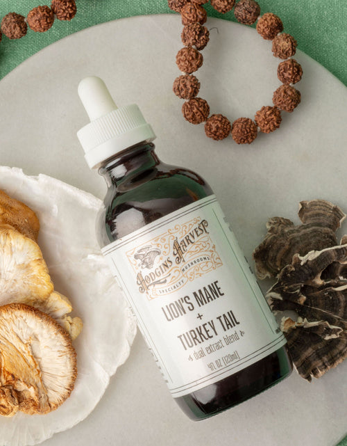 Load image into Gallery viewer, Lion's Mane + Turkey Tail Dual Extract Tincture by Hodgins Harvest
