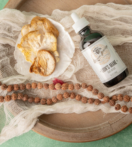 Lion's Mane Dual Extract Tincture by Hodgins Harvest