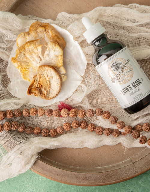 Load image into Gallery viewer, Lion's Mane Dual Extract Tincture by Hodgins Harvest
