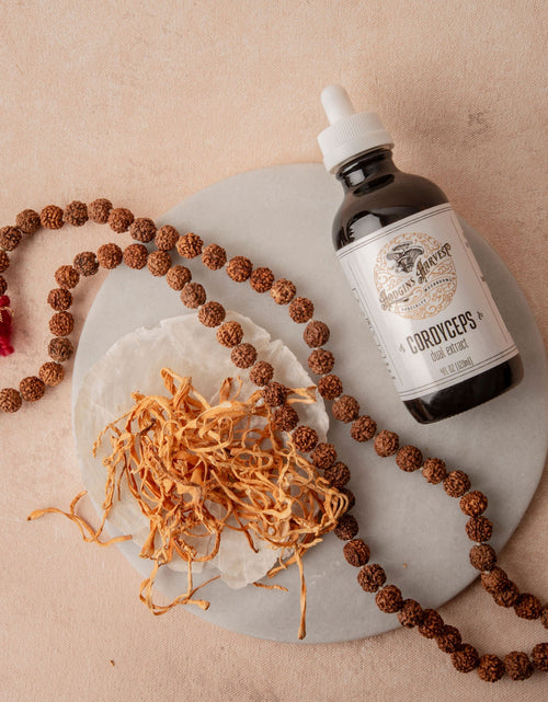 Load image into Gallery viewer, Cordyceps Dual Extract Tincture by Hodgins Harvest
